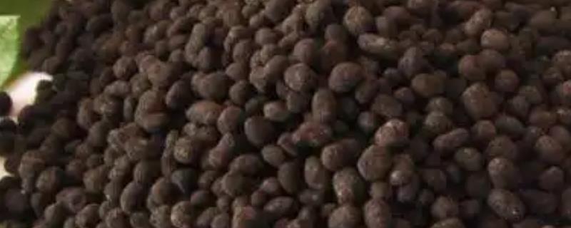 常用的肥料种类，分为无机肥和有机肥