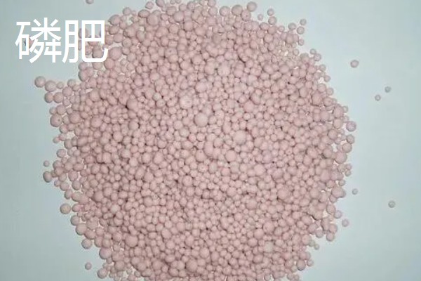 常用的肥料种类,分为无机肥和有机肥