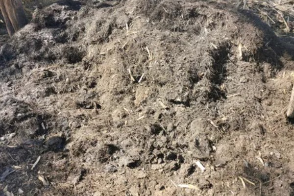 常用的肥料种类,分为无机肥和有机肥