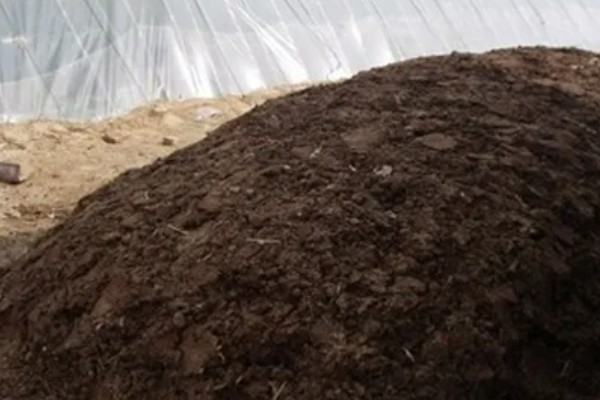 常用的肥料种类,分为无机肥和有机肥