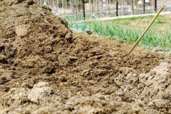 常用的肥料种类,分为无机肥和有机肥