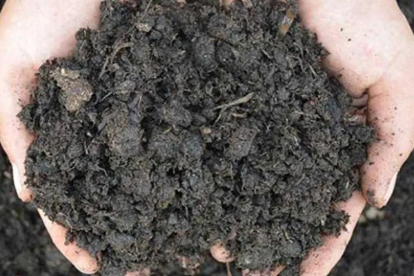 常用的肥料种类,分为无机肥和有机肥