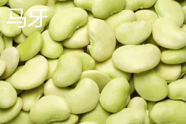 蚕豆收获后怎样保存，可冷藏、晾晒等