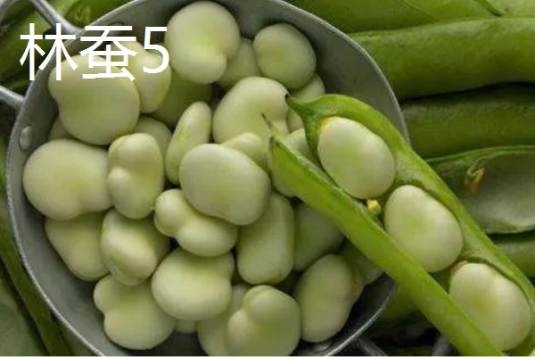 蚕豆收获后怎样保存，可冷藏、晾晒等