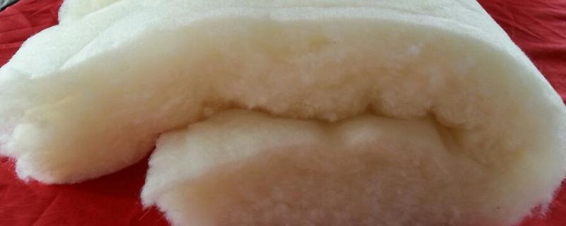 大豆棉属于什么棉花，不属于棉花