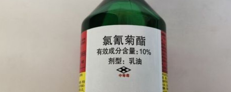 氯青菊脂治哪些害虫，可有效防治蓟马、刺蛾、小菜蛾等
