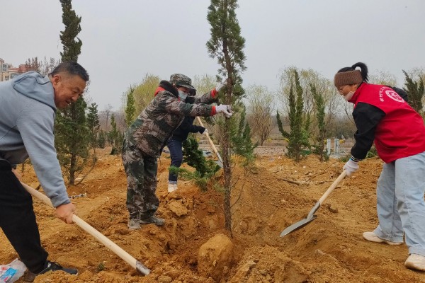 七八月份栽树能成活吗，是可以成活的