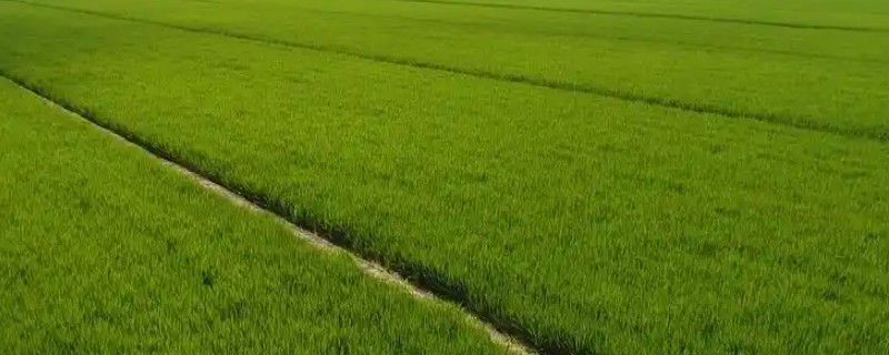 农业类型和农业地域类型的区别是什么，概念不同