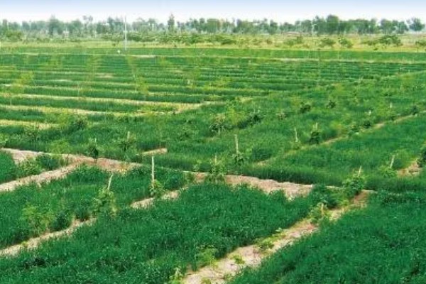 农业类型和农业地域类型的区别是什么，概念不同