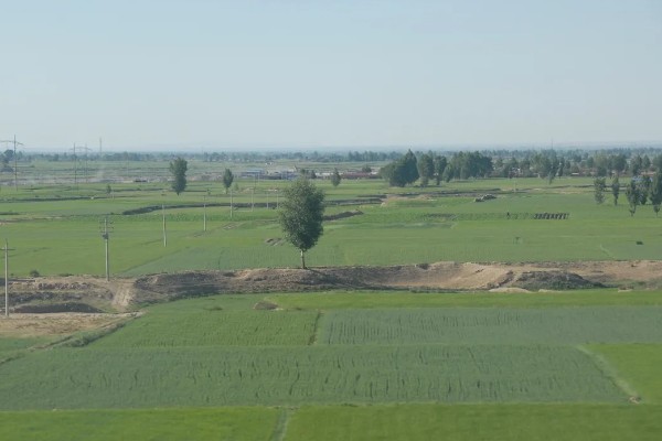 农业类型和农业地域类型的区别是什么，概念不同