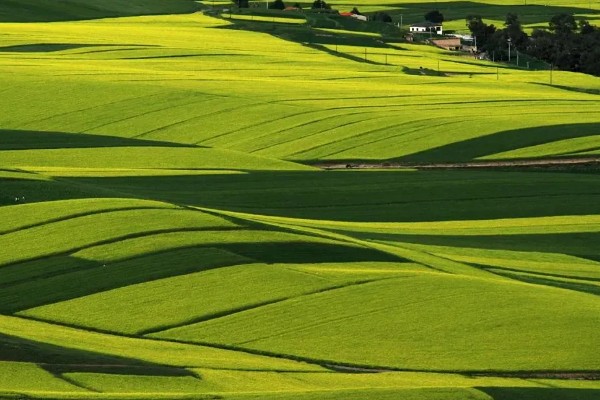 农业类型和农业地域类型的区别是什么，概念不同