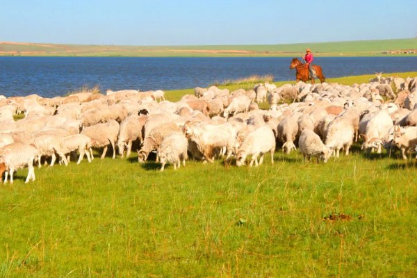农业类型和农业地域类型的区别是什么，概念不同