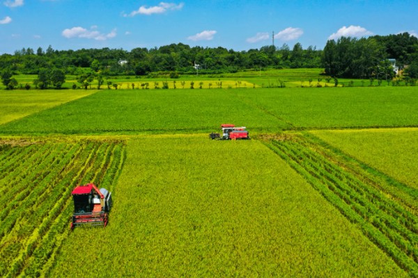 农业类型和农业地域类型的区别是什么，概念不同