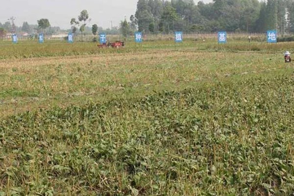 农业类型和农业地域类型的区别是什么，概念不同