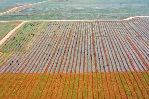 农业类型和农业地域类型的区别是什么，概念不同