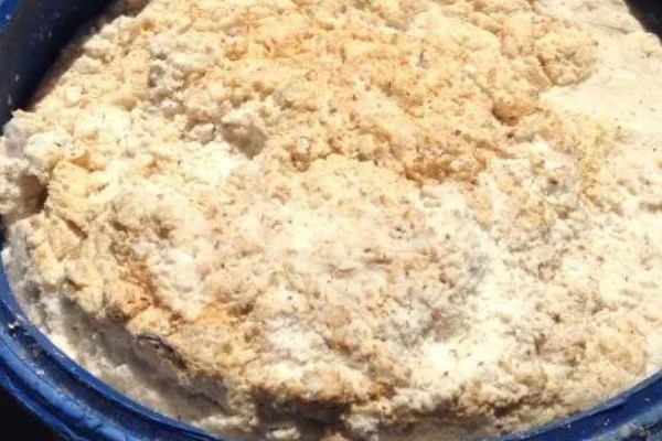 豆渣养猪的方法，豆渣发酵剂用米糠按照1:5的比例稀释