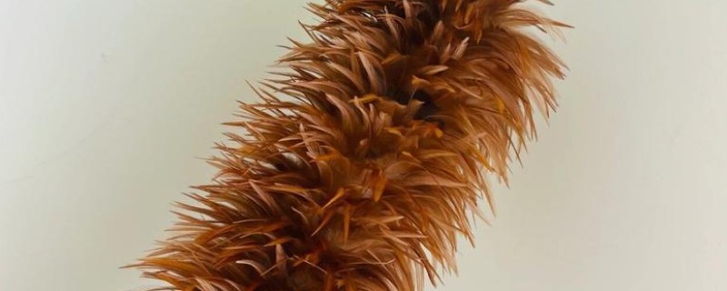 鸡毛能做什么，可以做成鸡毛毽子、装饰品等