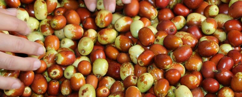 湖南祁东的特产，常见的有祁东酥脆枣、祁东草席等