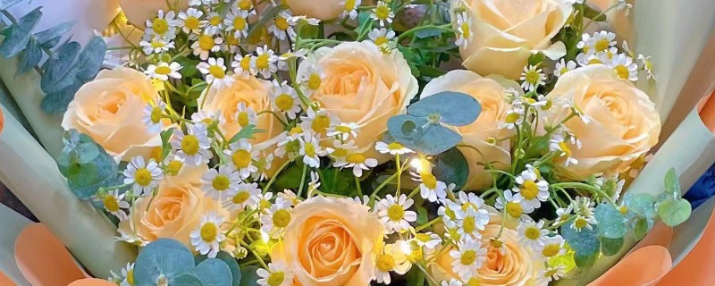 香槟玫瑰加满天星的寓意，寓意我只钟情于你等