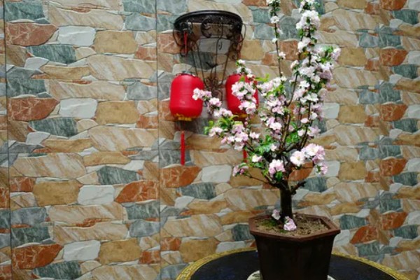 海棠花叶子发黄的原因和处理方法，可能是叶子发黄所致