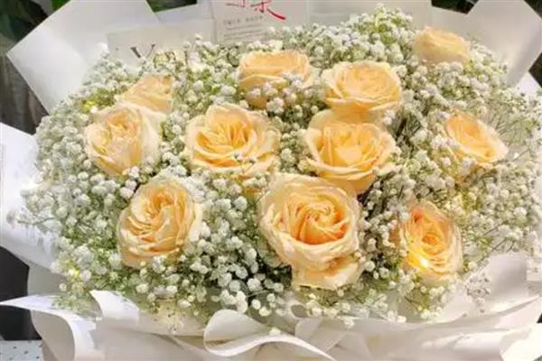 香槟玫瑰加满天星的寓意,寓意我只钟情于你等