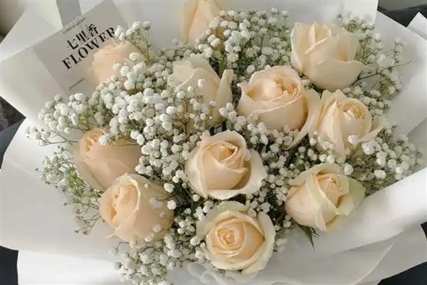 香槟玫瑰加满天星的寓意,寓意我只钟情于你等