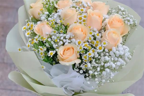 香槟玫瑰加满天星的寓意,寓意我只钟情于你等