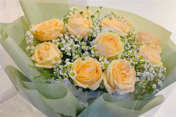 香槟玫瑰加满天星的寓意,寓意我只钟情于你等