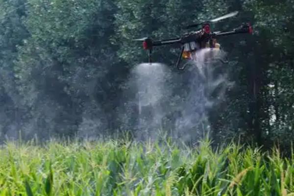 玉米播后苗前除草剂的施用效果如何提高，要注意喷药时间