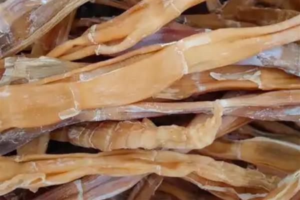 干竹笋购买如何挑选,可以看颜色、笋节等