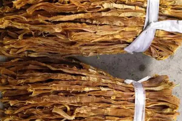 干竹笋购买如何挑选,可以看颜色、笋节等