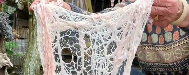 猪网油是什么，是包围内脏器官的一层薄膜