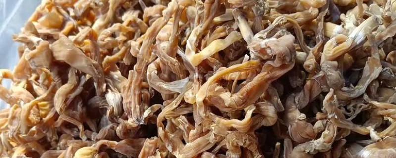 干竹笋购买如何挑选，可以看颜色、笋节等