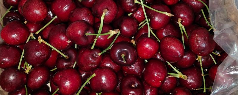 吃车厘子多少合适，一天吃10-20个左右就足够