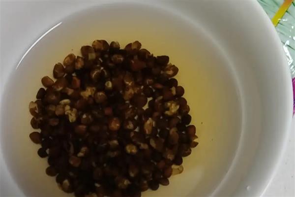 空心菜籽如何催芽，首先要用温水浸泡1-2天