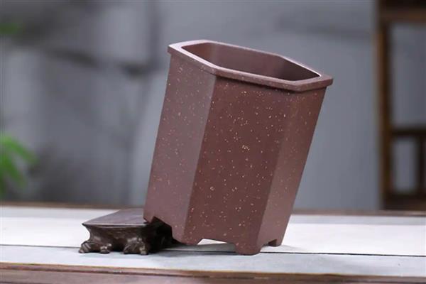 口红吊兰的养殖方法，选用紫砂盆种植最佳