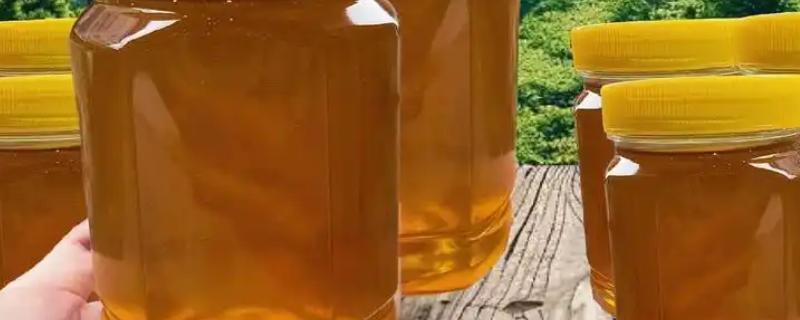 土蜂蜜简介，是指土蜂采集山野百花酿制的蜂蜜