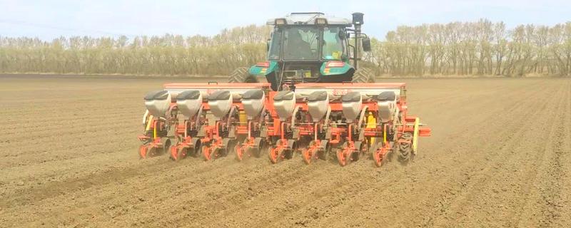 预防玉米小苗的方法，播种前选择纯度高、发芽势较强的种子