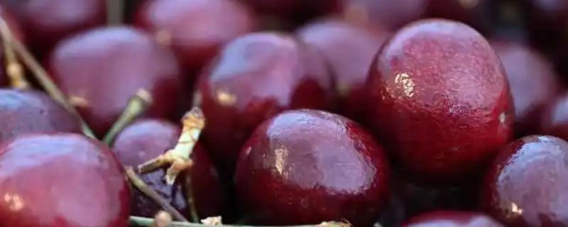 十一月份有没有车厘子上市，智利、澳大利亚等国家的车厘子会在此时供应