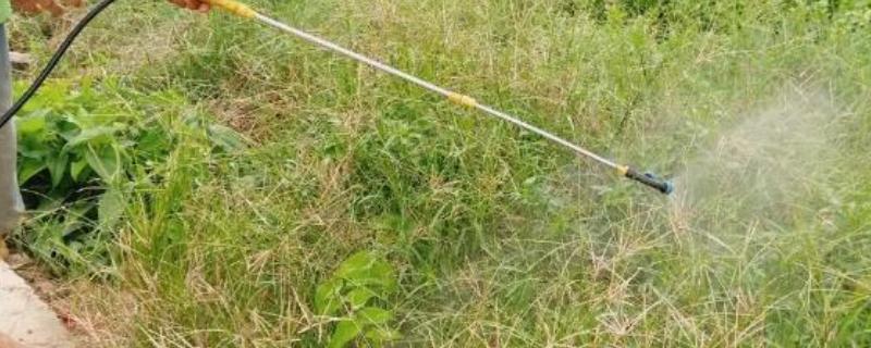 草甘膦在土壤中会残留多久，通常经过一天就会消失