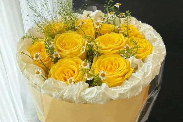 黄玫瑰能送女朋友吗，黄玫瑰能送给女朋友