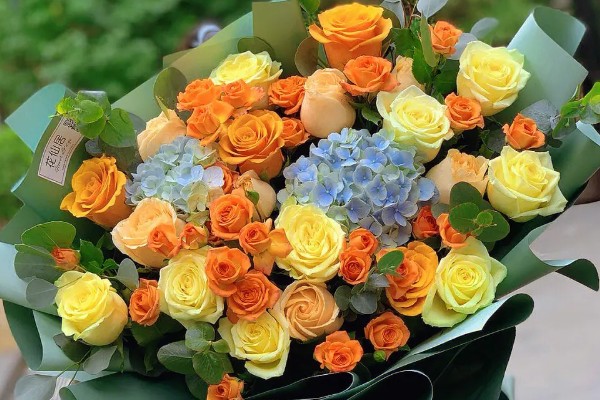 黄玫瑰能送女朋友吗，黄玫瑰能送给女朋友