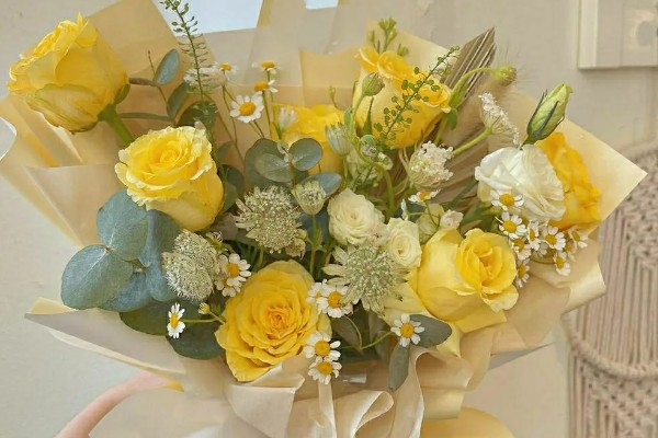 黄玫瑰能送女朋友吗，黄玫瑰能送给女朋友