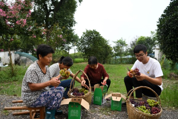 怎么发展壮大乡村产业,需加快发展农村特色产业