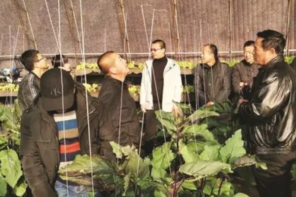 怎么发展壮大乡村产业,需加快发展农村特色产业