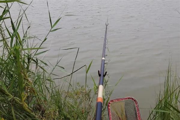 钓鱼竿怎么选择,可根据材质、参数和调性来选择