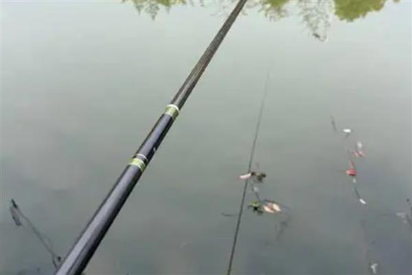 钓鱼竿怎么选择,可根据材质、参数和调性来选择