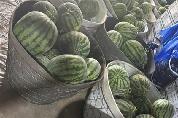 西瓜可以放冰箱多久，完整的可以放冰箱7天以上