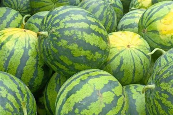 西瓜可以放冰箱多久，完整的可以放冰箱7天以上