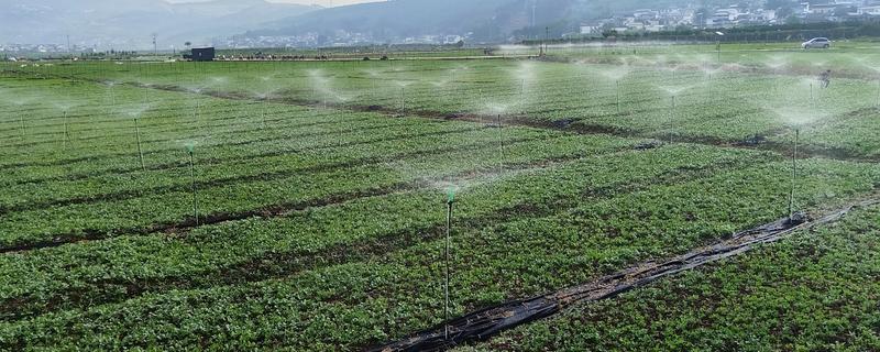 有哪些农业生态效益，包括经济效益和社会效益等